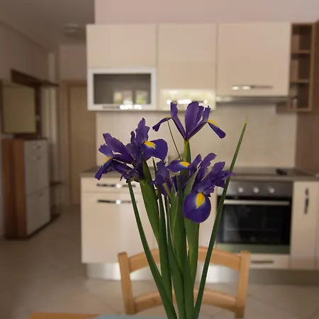 Apartment Mare Krk Town
