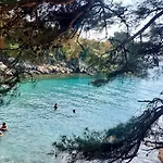 Mare
